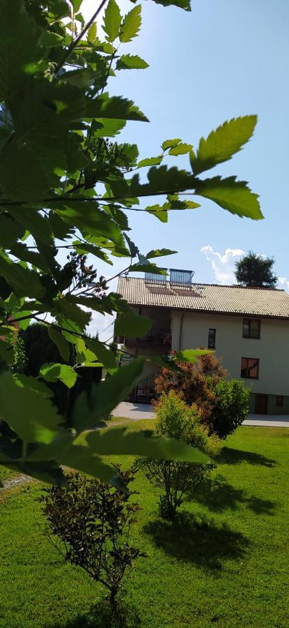 Pod Modrzewiami Apartment Milowka Exterior photo